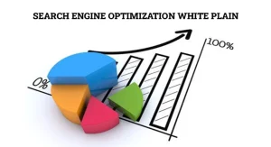 Search Engine Optimization White Plains